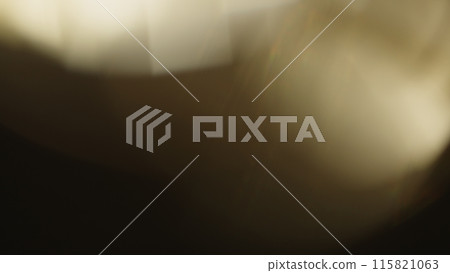 Real lens flare with strong sun backlight and light leaks 115821063