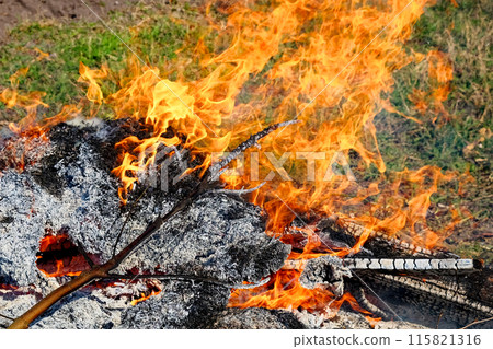 The fire is burning in a pile of what appears to be garden waste. 115821316