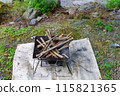 Bonfire on the riverbank, outdoors 115821365