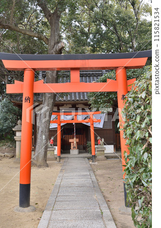 道明寺的和子稻荷大神 道明寺的和子稻荷大神 115821534