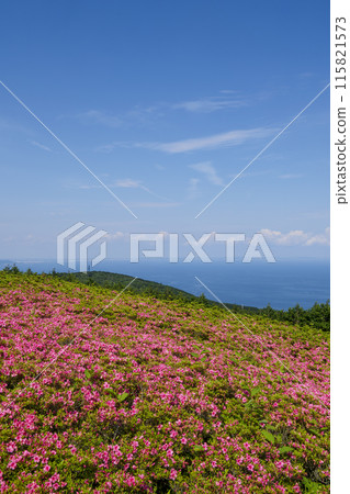 五月之裡，五月花盛開的星山公園 115821573