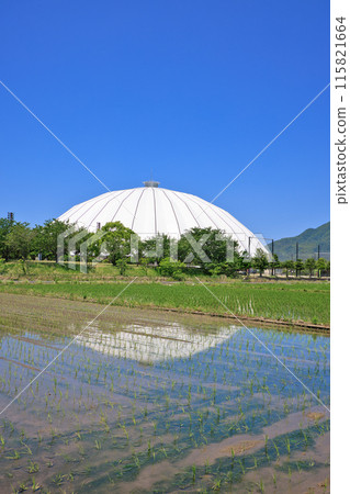 <島根縣> 6月的出雲巨蛋 反映在稻田中的出雲巨蛋 115821664