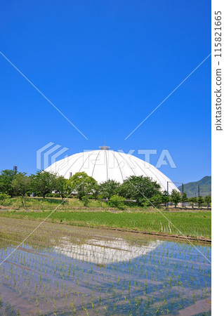 <島根縣> 6月的出雲巨蛋 反映在稻田中的出雲巨蛋 115821665