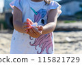 Girl with seashells on the beach 115821729