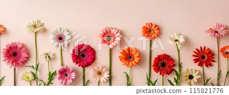Wild flowers scattered on white background. Boho style. 115821776