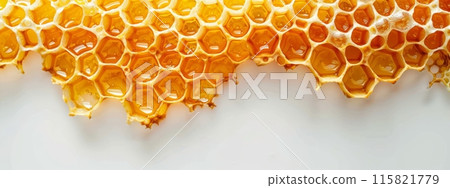 Honeycombs on the bottom of white background with copyspace for your text Honeycombs on the bottom of white background with copyspace for your text 115821779
