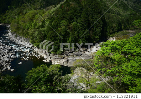 覺醒層與新綠季節 覺醒層與新綠季節 115821911