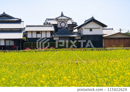 Rapeseed field and stray clock 3 Aki City, Kochi Prefecture Rapeseed field and stray clock 3 Aki City, Kochi Prefecture 115822629