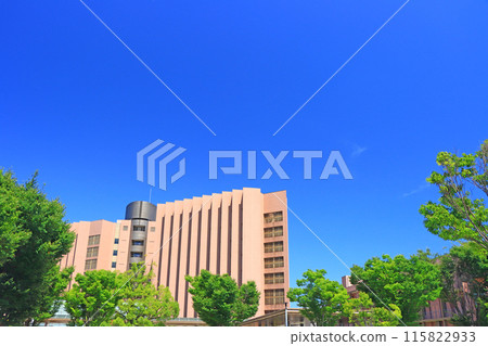 愛知縣岡崎市岡崎市立醫院風景 115822933