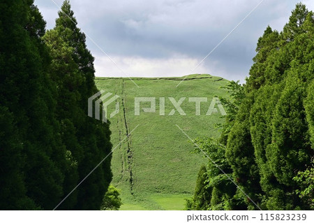 [Kumamoto] Grasslands and mountains spread out at the foot of Mount Aso. The vast scenery overlooking Mount Aso, Yonezuka, and more was beautiful and spectacular. 115823239