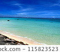 Okinawa coast on a clear day 115823523