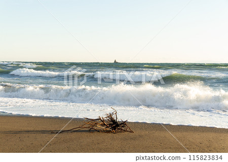 烏帽子和海浪拍打沙灘 115823834