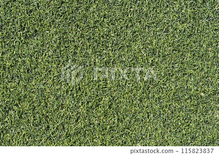 Artificial grass Artificial grass 115823837