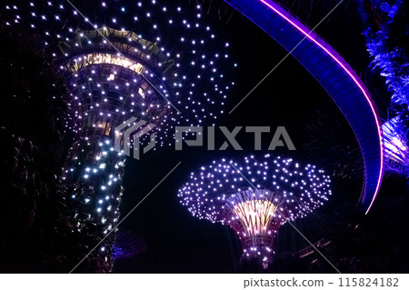 Supertree Grove in Garden By the Bay, Singapore at night during the light show. It features towering tree-like structures. 115824182