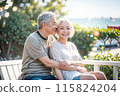 Senior Asian couple smiling on the beach 115824204