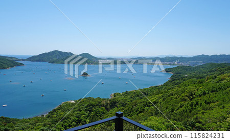 Scenery of the Uchino Sea seen from the Naruto Skyline (Naruto City, Tokushima Prefecture) 115824231