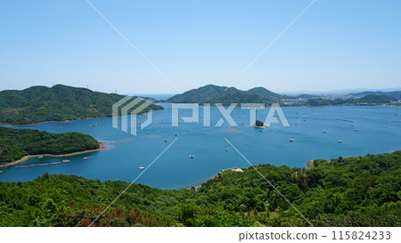 Scenery of the Uchino Sea seen from the Naruto Skyline (Naruto City, Tokushima Prefecture) Scenery of the Uchino Sea seen from the Naruto Skyline (Naruto City, Tokushima Prefecture) 115824233