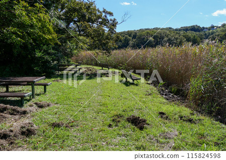 靜岡縣伊東市一碧湖(沼池) 靜岡縣伊東市一碧湖(沼池) 115824598