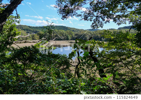 Lake Ippeki (swamp), Ito City, Shizuoka Prefecture Lake Ippeki (swamp), Ito City, Shizuoka Prefecture 115824649