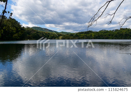 靜岡縣伊東市一碧湖(大池) 靜岡縣伊東市一碧湖(大池) 115824675