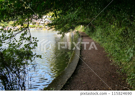 Shizuoka Prefecture, Ito City, Lake Ippeki (large pond) Promenade 115824690
