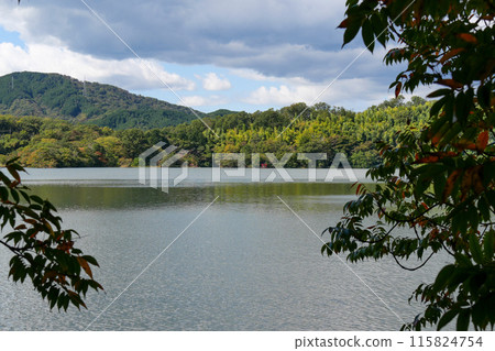 靜岡縣伊東市一碧湖(大池) 靜岡縣伊東市一碧湖(大池) 115824754