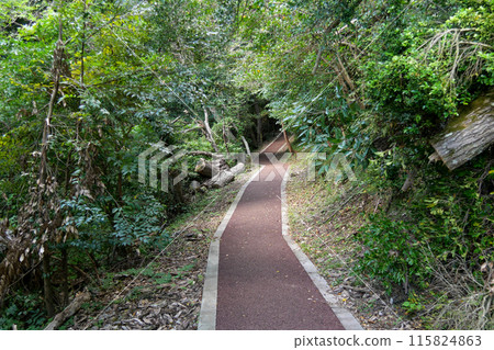靜岡縣伊東市一平湖散步道 115824863