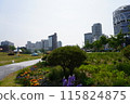 韓國城市景觀 115824875