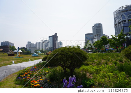 韓國城市景觀 115824875