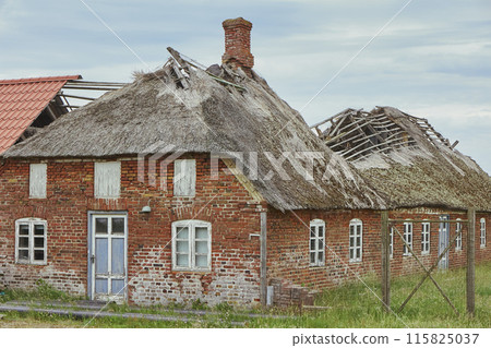 Ruined abandoned house with thatched roof in Sondervig Denmark Ruined abandoned house with thatched roof in Sondervig Denmark 115825037