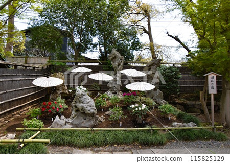 鎌倉 鶴岡八幡宮 牡丹園 鎌倉 鶴岡八幡宮 牡丹園 115825129