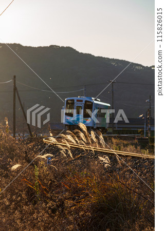 Shizuoka Prefecture Fukuroi City Kawae Tenryu Hamanako Railway and scenery along the line 115826015