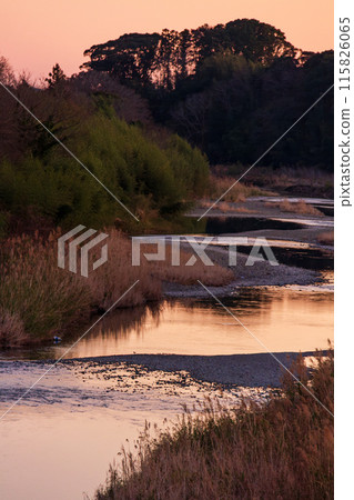 Scenery along the Tenryu Hamanako Railway in Hongo, Kakegawa City, Shizuoka Prefecture Scenery along the Tenryu Hamanako Railway in Hongo, Kakegawa City, Shizuoka Prefecture 115826065