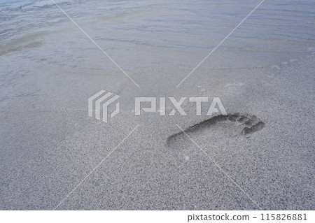 Footprints of the sandy beach 115826881