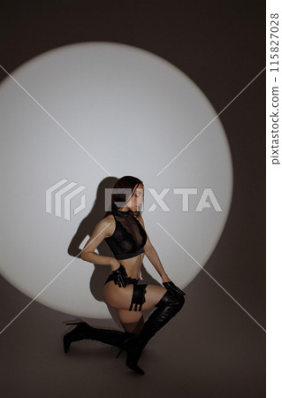 Studio fashion shot of the pretty young woman.  115827028