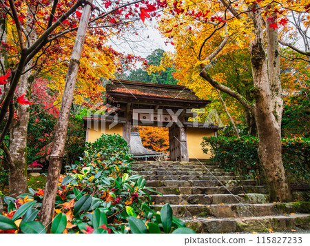 Kyoto in autumn 115827233