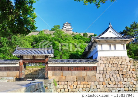 [Kagawa Prefecture] Marugame Castle on a clear May day as seen from the northern inner moat (a famous castle with a surviving castle tower and stone walls) 115827945