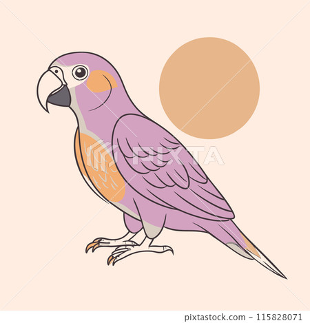 Hand-drawn contour tropical parrot on a background of abstract shapes. Line art, doodle. Illustration, poster, postcard. 115828071