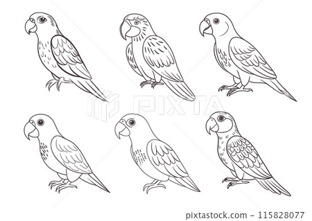 Set of linear drawings of tropical parrots, sketch. Line art for coloring book, decorative elements, vector 115828077
