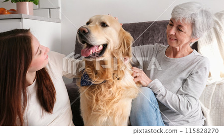 Old Woman And Her Granddaughter Having Fun With A Cute Golden Retriever Dog Old Woman And Her Granddaughter Having Fun With A Cute Golden Retriever Dog 115828270