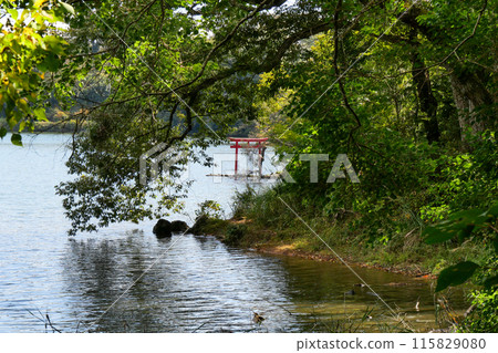 靜岡縣、伊東市、一碧湖和紅色鳥居 115829080