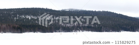 Reindeer crossing a frozen lake, farming in Finland Reindeer crossing a frozen lake, farming in Finland 115829275