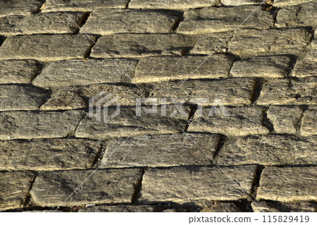 Stone paving stones in the evening sun with shadows. 115829419