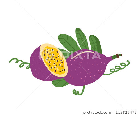 Passion fruits. Tropical half and whole fruit. Vector illustration isolated on white background. 115829475