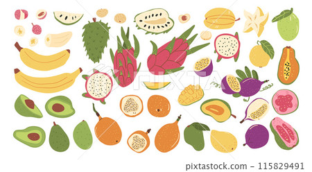 Tropical fruits isolated on white background. Set of exotic sweet dessert Vector hand drawn flat collection illustration. 115829491