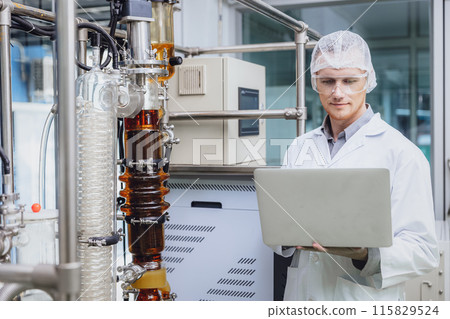 Scientist working with Equipment in Science Lab. Medical factory staff Cannabis CBD oil extraction. Hemp oil Thin Film Distillation Plants Process. Scientist working with Equipment in Science Lab. Medical factory staff Cannabis CBD oil extraction. Hemp oil Thin Film Distillation Plants Process. 115829524