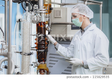Scientist working with Equipment in Science Lab. Medical factory staff Cannabis CBD oil extraction. Hemp oil Thin Film Distillation Plants Process. Scientist working with Equipment in Science Lab. Medical factory staff Cannabis CBD oil extraction. Hemp oil Thin Film Distillation Plants Process. 115829535