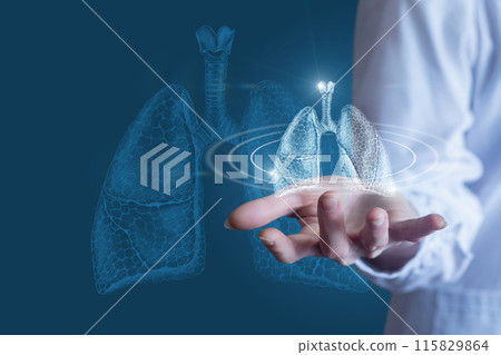 Doctor shows human lungs. Doctor shows human lungs. 115829864