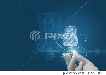 The hand in the rubber glove shows the thyroid gland . The hand in the rubber glove shows the thyroid gland . 115829870