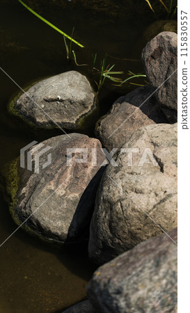 Large rocks, boulders near the shore of a large water utility Large rocks, boulders near the shore of a large water utility 115830557